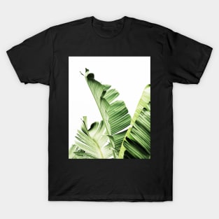 Banana leaves,Tropical leaves, Green leaves, Leaf, Modern art, Wall art, Print, Minimalistic, Modern, Scandinavian print T-Shirt